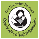Central Foothills Mommies Charlotte summer camps
